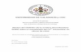 UNIVERSIDAD DE VALADOLID y CSIC