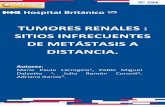 TUMORES RENALES : SITIOS INFRECUENTES DE METÁSTASIS A ...