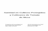 Sanidad en Cultivos Protegidos y Cultivares de Tomate de Mesa