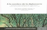 A LA SOMBRA DE LA DIPLOMACIA - Sebastiaan Faber