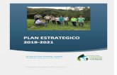 PLAN ESTRATEGICO 2019-2021 - fundacionmadreverde.org