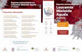 Experto universitario en CURSO Leucemia Mieloide Aguda ...