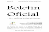 Boletin Oficial N 365.doc) - patagones.gob.ar