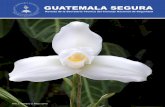 GUATEMALA SEGURA - stcns.gob.gt