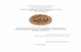 Revisión Taxonómica del Subgénero Micrandrena (Hymenoptera ...