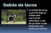 Salida de tacos - aulas.uruguayeduca.edu.uy