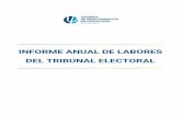 Informe Tribunal Electoral 2020