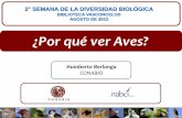 ¿Por qué ver Aves? - Biodiversidad Mexicana