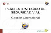 PLAN ESTRATEGICO DE SEGURIDAD VIAL Gesti³n Operacional