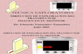 Tecnica Exploratoria (Dirección Del Transductor-imagen en El