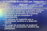 Teoria Da Evoluci³N