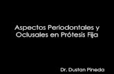 Aspectos Periodontales Y Oclusales En PróTesis Fija