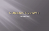Comenius 2012