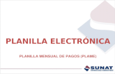 PLANILLA ELECTR“NICA  PLANILLA MENSUAL DE PAGOS (PLAME)