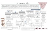 Teoria de la evoluci³n