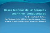 Bases teóricas de las terapias cognitivo  conductuales.